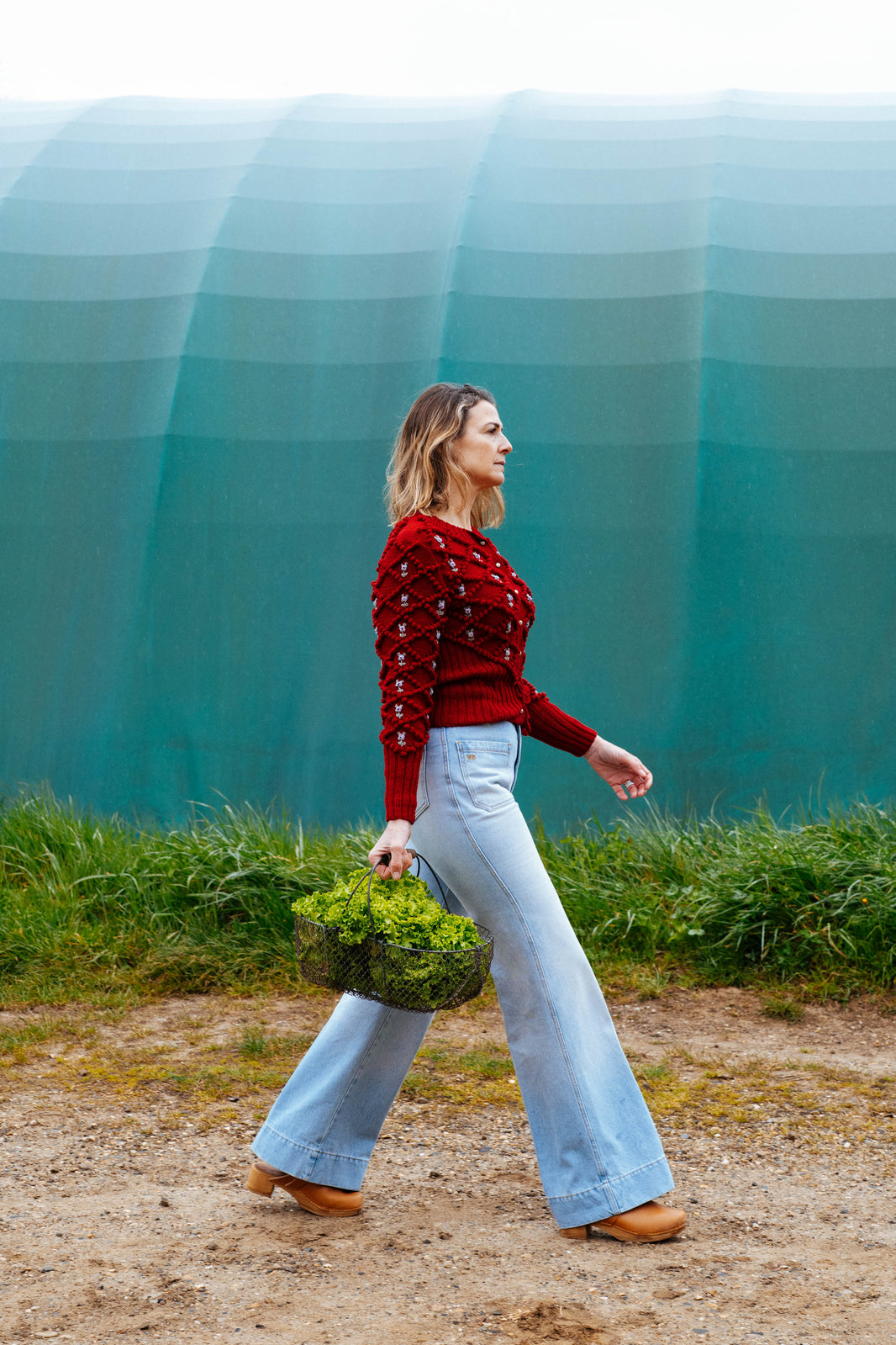 Alpine Gardens: The Slow Beauty That Blooms Beyond Seasons - MICHAELA BUERGER